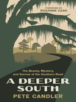 cover image of A Deeper South
